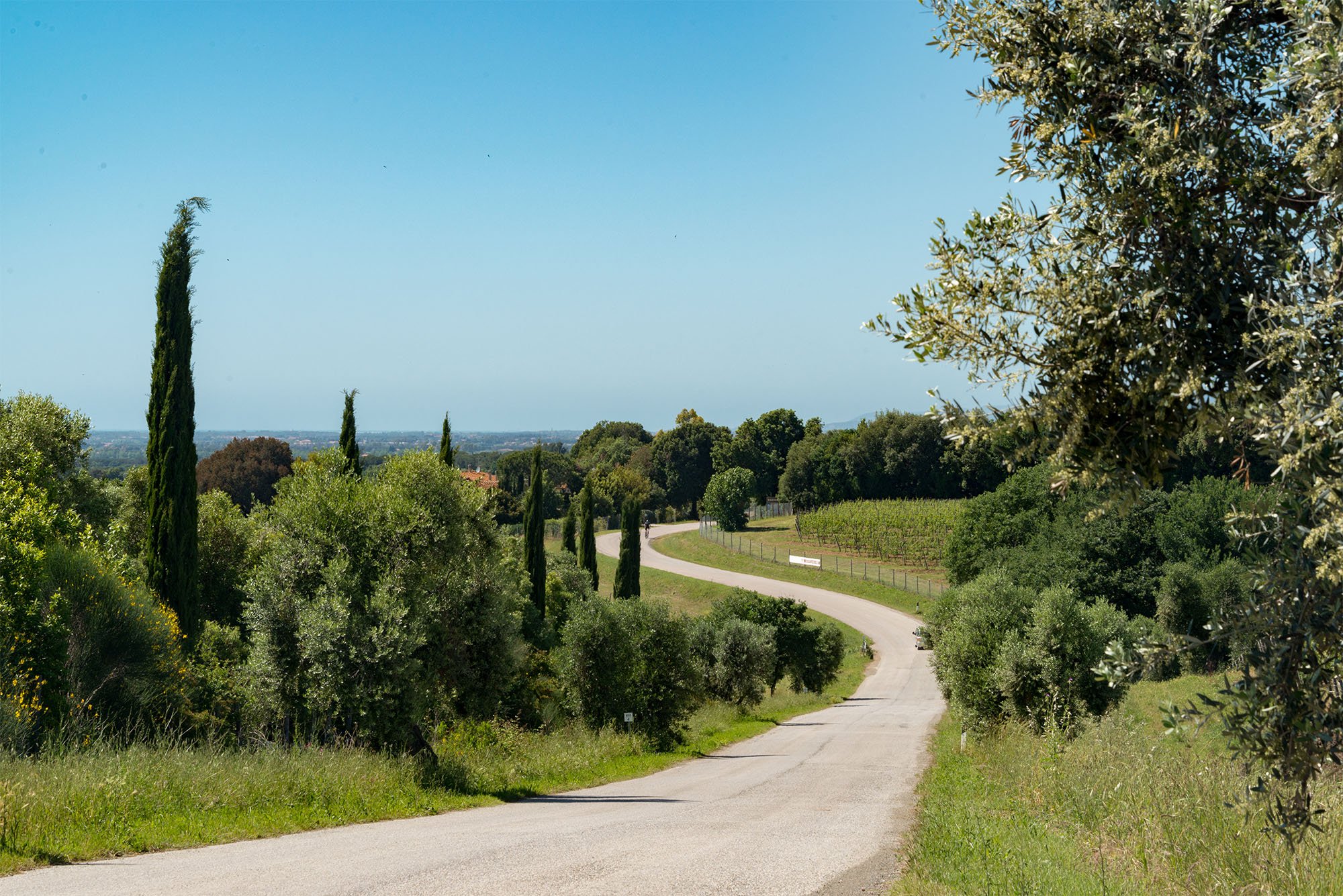 AdobeStock_132196652